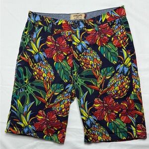 Hudson & Barrow Men's Tropical Hawaiian Print Size 30 Stretch Shorts Pineapple